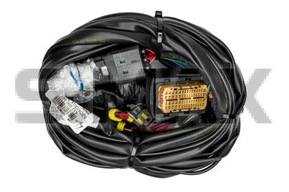 КАБЕЛАЖ ЗА ГАЗОВ ИНЖЕКЦИОН - LOVATO FAST OBD 4