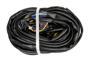 WIRING HARNESS - EUROPEGAS INJECTO